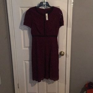 NWT J. crew collection short sleeve lace dress